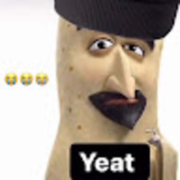 Meet your Posher, Michael - Picture 1 of 1